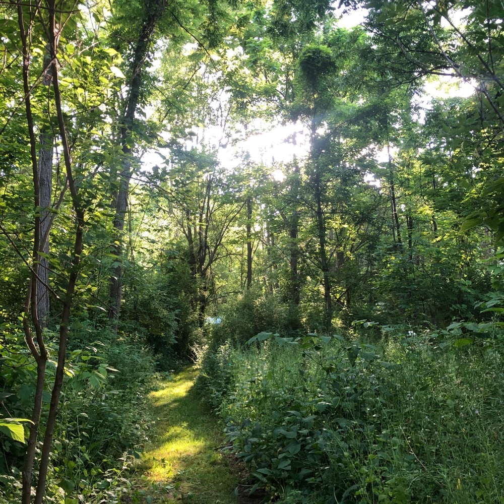 Meet your Posher, Marcia